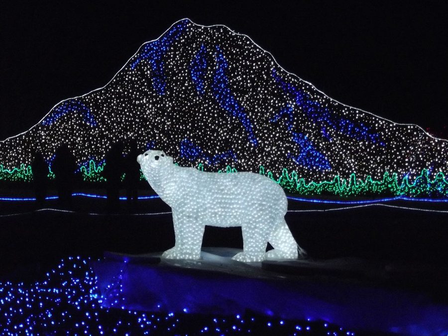A festive light display sparkles at Zoolights.