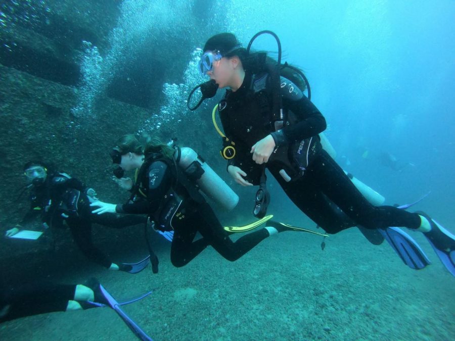Marine Chemistry Seniors Alyssa Cua, Eva Hamil, and Caitlyn Lo Navigating the “Sea Tiger” Shipwreck
(Photo Courtesy Mr. DeGroot)

