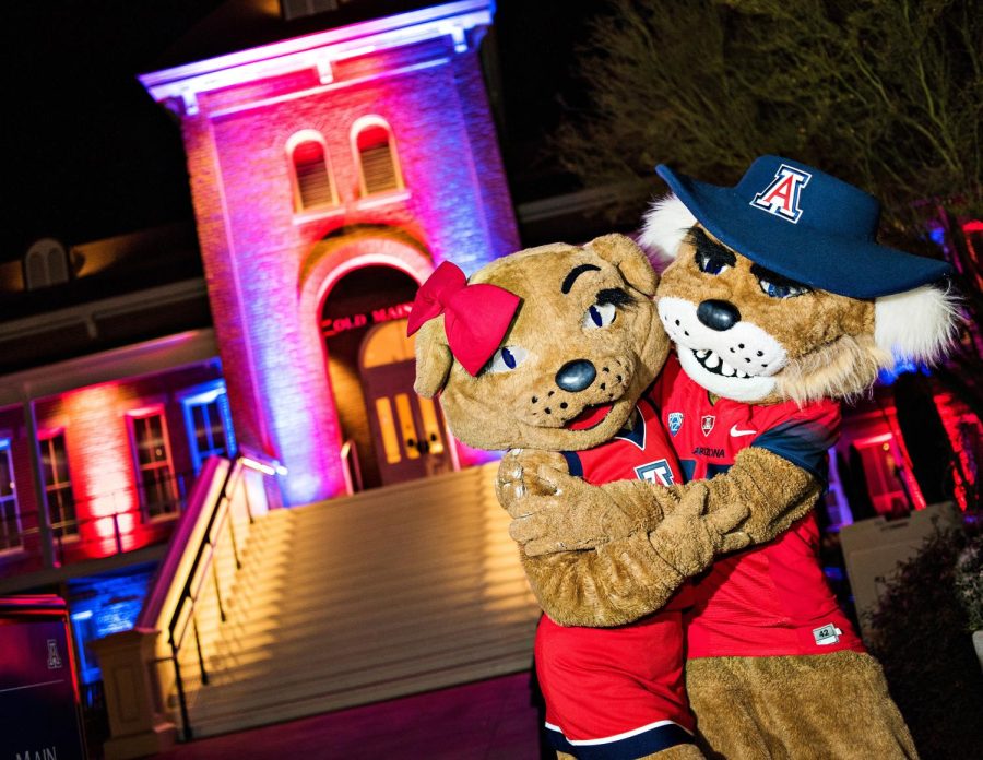 The University of Arizona’s two mascots, Wilma and Wilbur. 