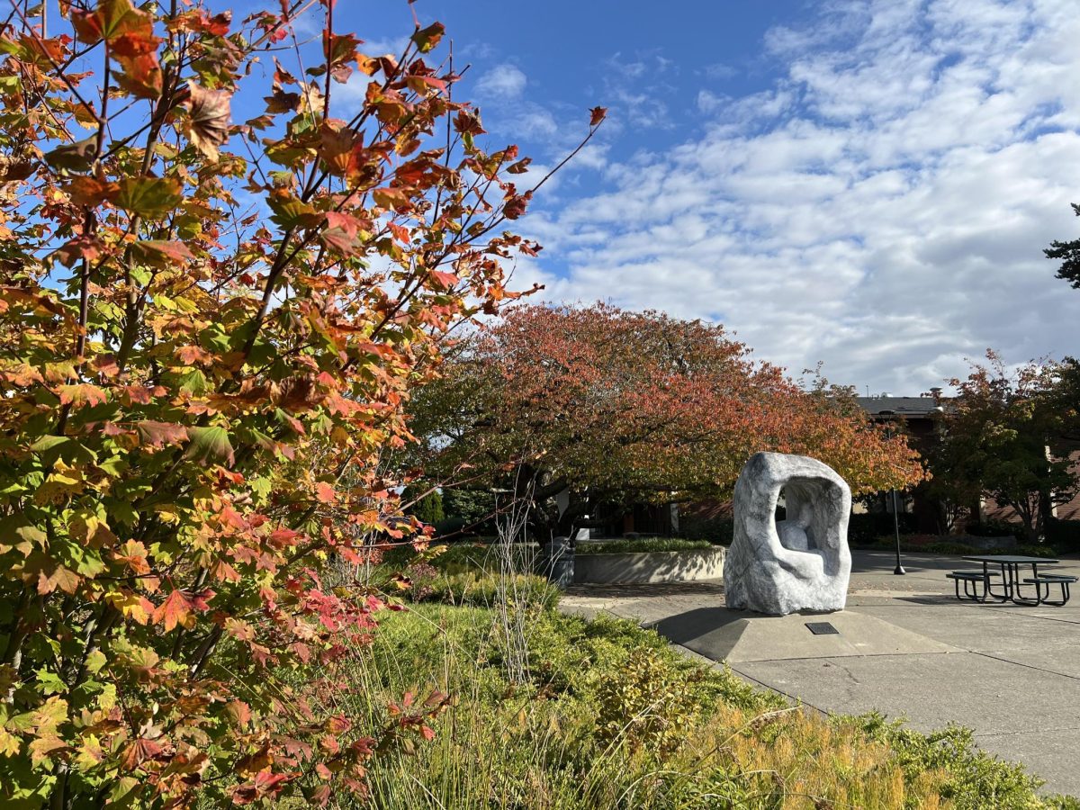 Fall is here at Bellarmine and everywhere. 