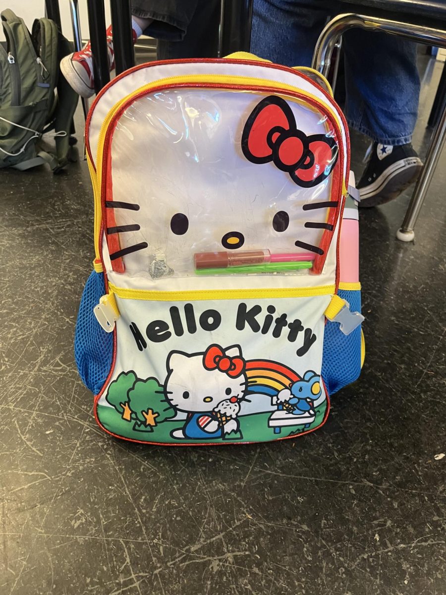 Photo of Maddey Uglick senior backpack courtesy of: 
